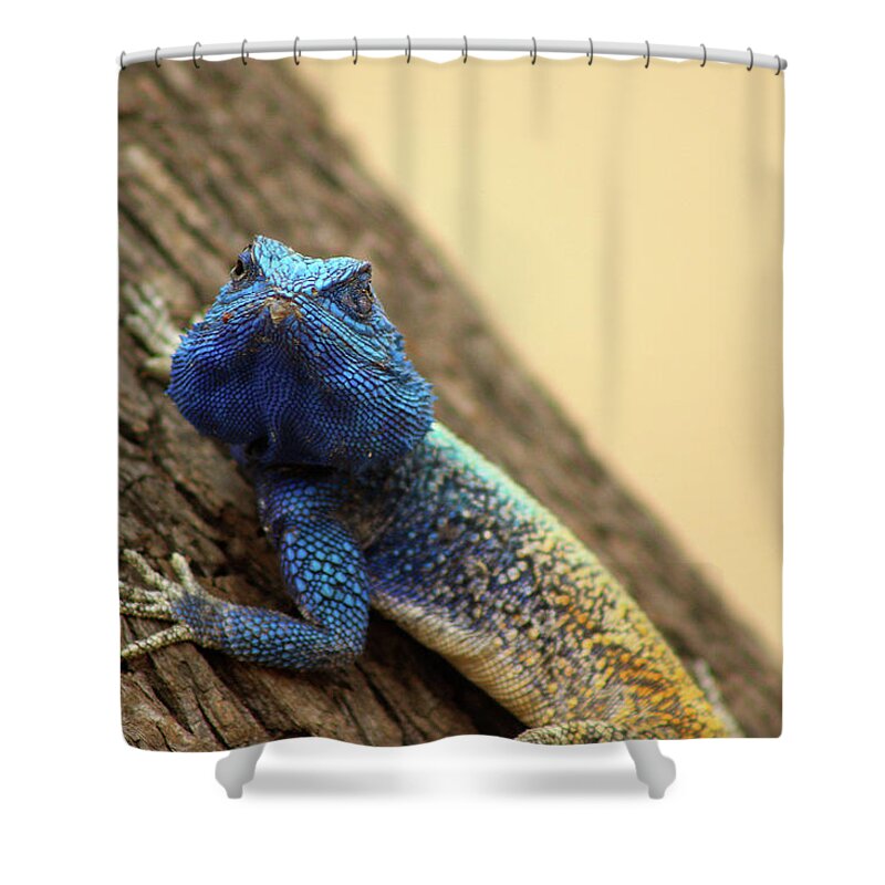  Shower Curtain featuring the photograph I am turning Blue ... by Eric Pengelly