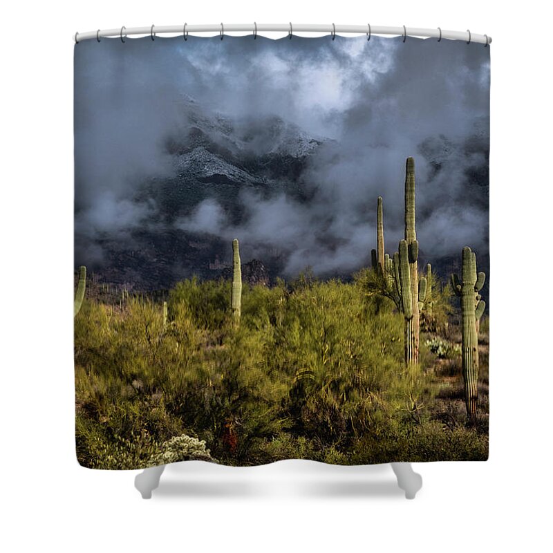 Arizona Shower Curtain featuring the photograph I Could Almost Touch The Clouds by Saija Lehtonen