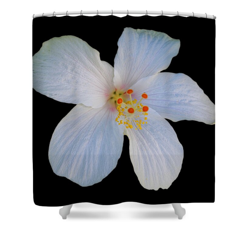 White Hibiscus Bloom Shower Curtain featuring the photograph I Saw The Figure Five In White by Charles Stuart