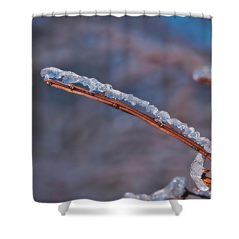 Ice Shower Curtain featuring the photograph Ice on Branch by Steven Ralser