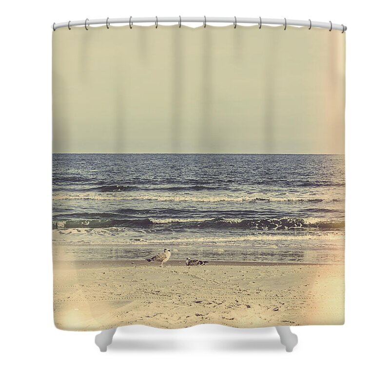 Jersey Shore Shower Curtain featuring the photograph If You're a Bird I'm a Bird by Colleen Kammerer