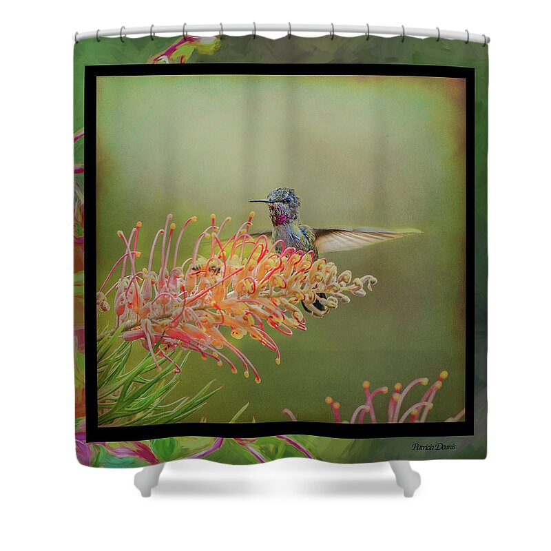 Art Shower Curtain featuring the photograph face mask hummer Dance by Patricia Dennis