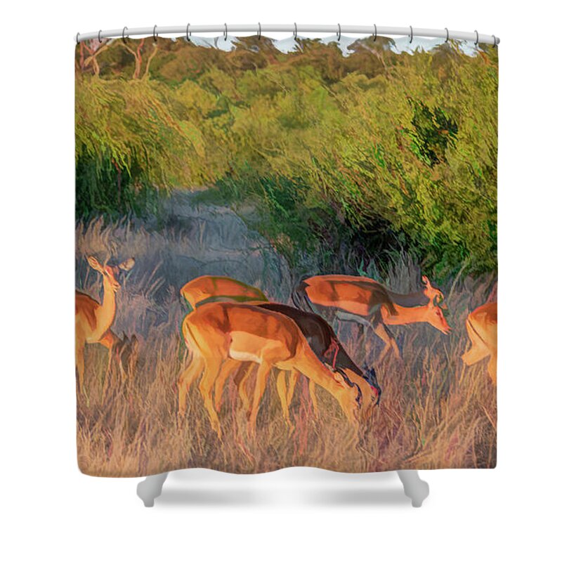 Impala Shower Curtain featuring the photograph Impalas of Botswana, Painterly by Marcy Wielfaert
