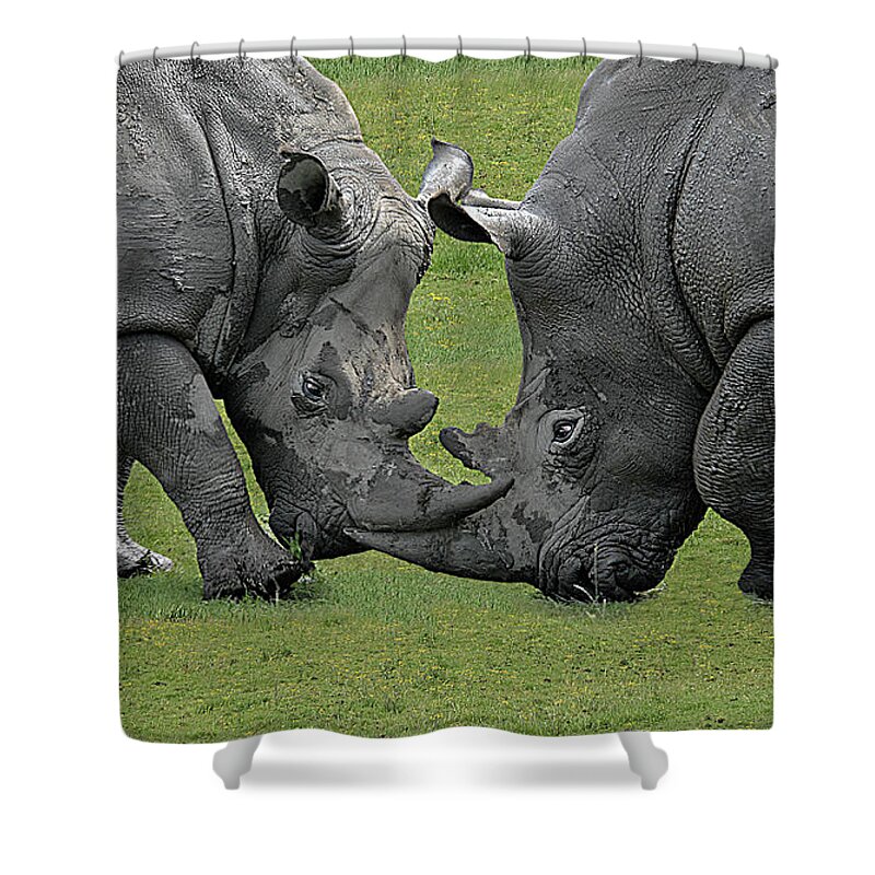 Dublin Shower Curtain featuring the photograph Imposing Confrontation by © Karolos Trivizas