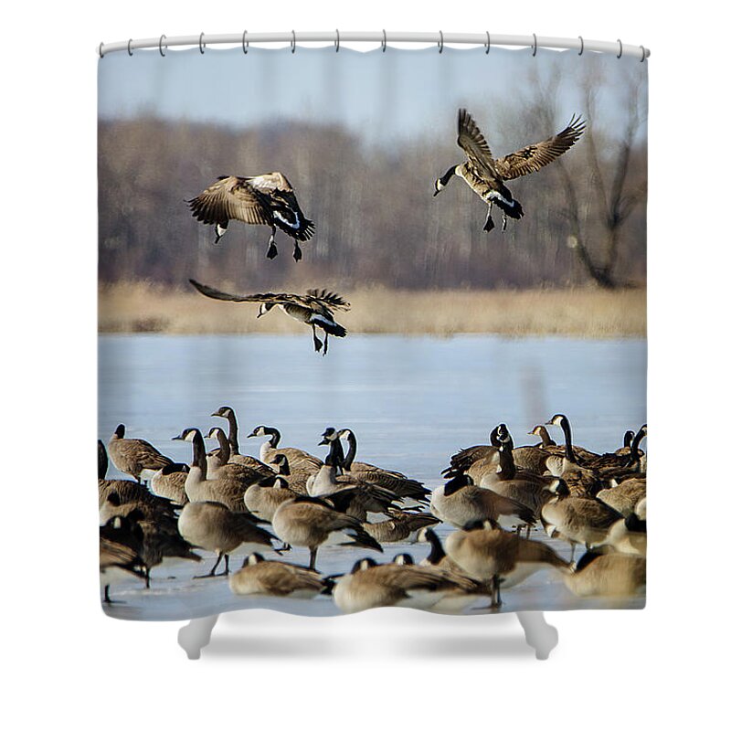 In Coming Shower Curtain featuring the photograph In Coming by Susan McMenamin