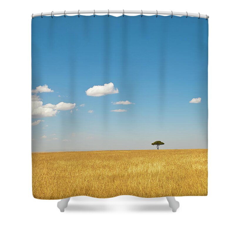 Scenics Shower Curtain featuring the photograph In Savannah by Helovi