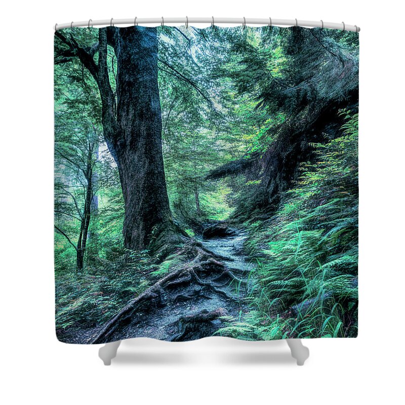 Appalachia Shower Curtain featuring the photograph In the Cool of the Evening on the Appalachian Trail by Debra and Dave Vanderlaan
