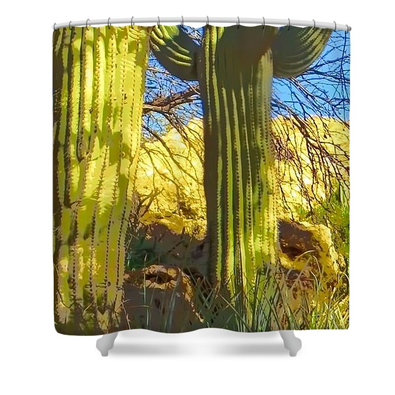 Arboretum Shower Curtain featuring the photograph In the Shadow of Saguaros by Judy Kennedy