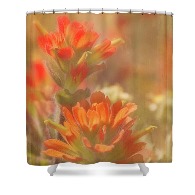 Photography Shower Curtain featuring the digital art Indian Paintbrush 2 by Terry Davis