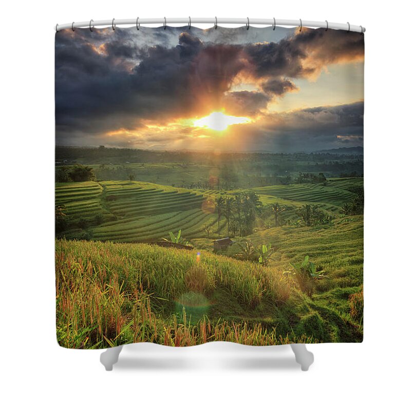 Tranquility Shower Curtain featuring the photograph Indonesia, Bali, Jatiluwih Rice Terraces by Michele Falzone