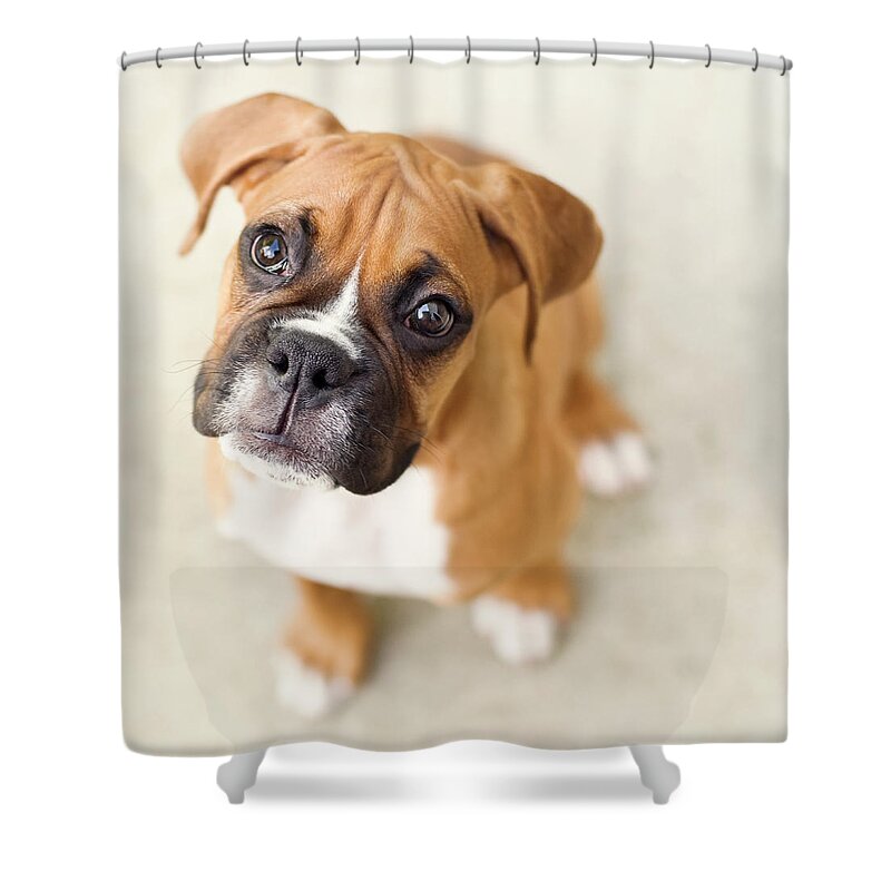 Pets Shower Curtain featuring the photograph Innocence by Jody Trappe Photography