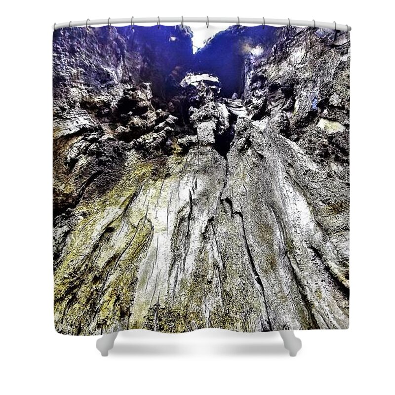 Prints Shower Curtain featuring the photograph Inside the old man by Barbara Donovan