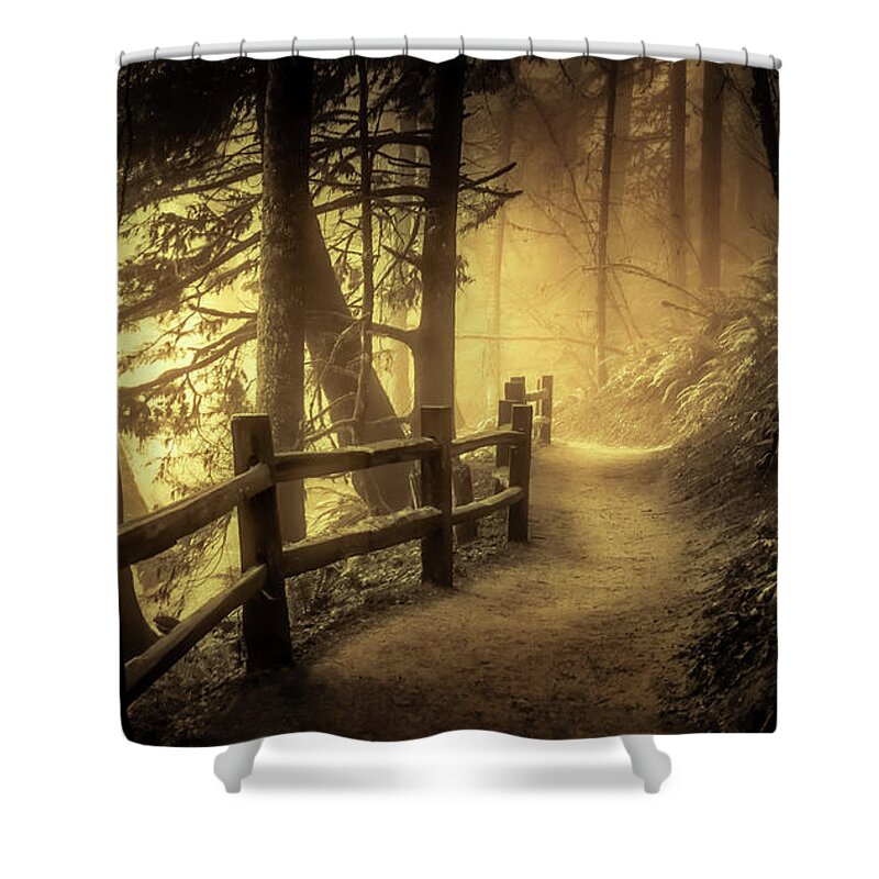 Fence Shower Curtain featuring the photograph Into the Mist and Light by Don Schwartz