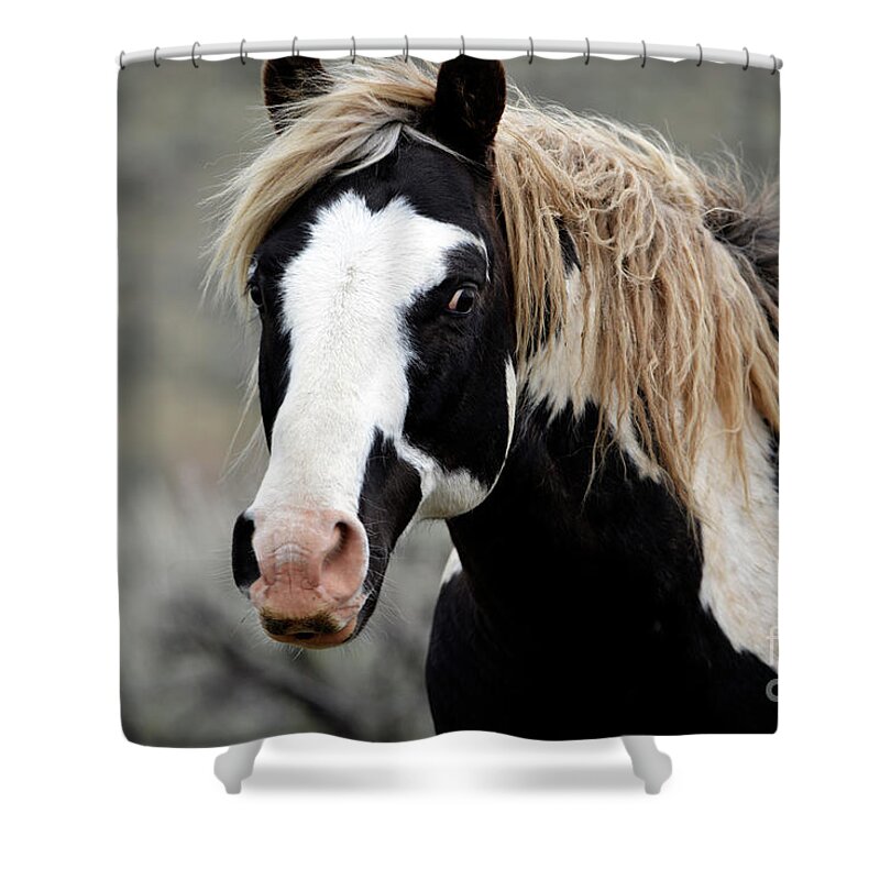 Denise Bruchman Photography Shower Curtain featuring the photograph Introductions by Denise Bruchman