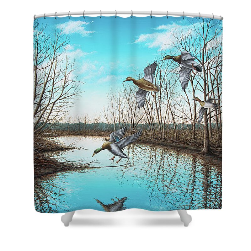 Mallard Shower Curtain featuring the painting Intruder by Anthony J Padgett