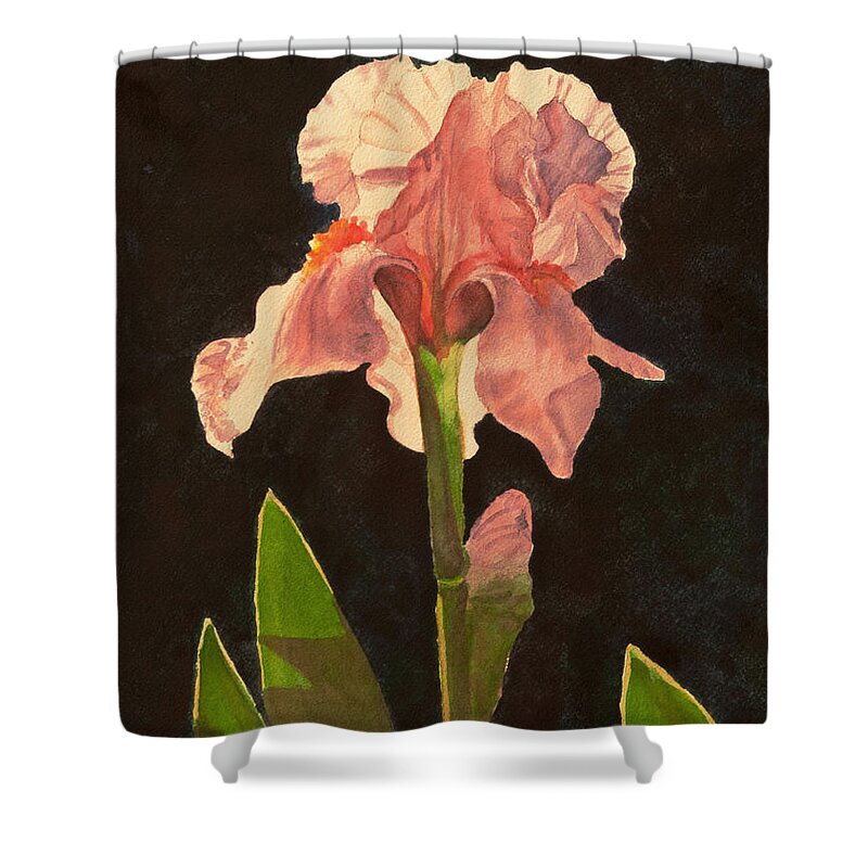 Floral Shower Curtain featuring the painting Iris 3 by Heidi E Nelson
