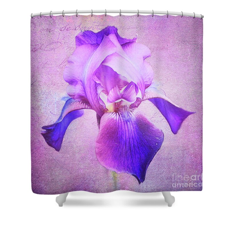 Iris Shower Curtain featuring the photograph Pretty in Purple Iris by Anita Pollak
