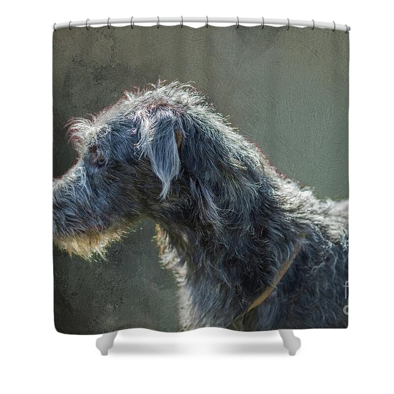 Irish Wolfhound Shower Curtain featuring the mixed media Irish Wolfhound in Profile by Eva Lechner