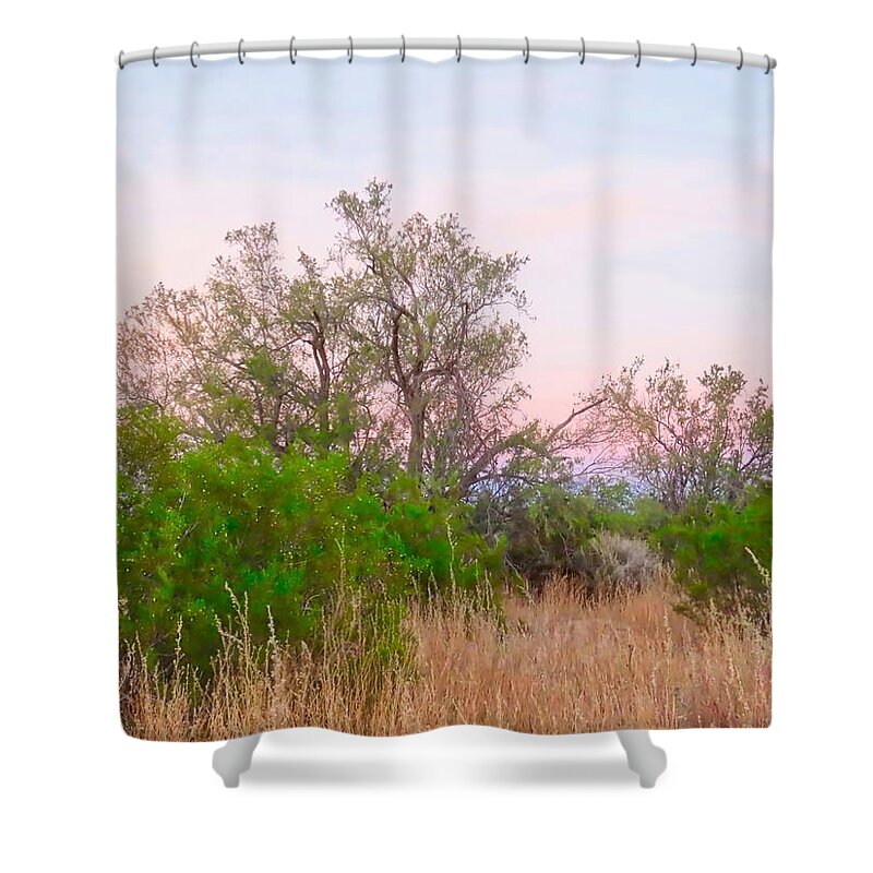 Affordable Shower Curtain featuring the photograph Ironwood Trees After Sundown by Judy Kennedy