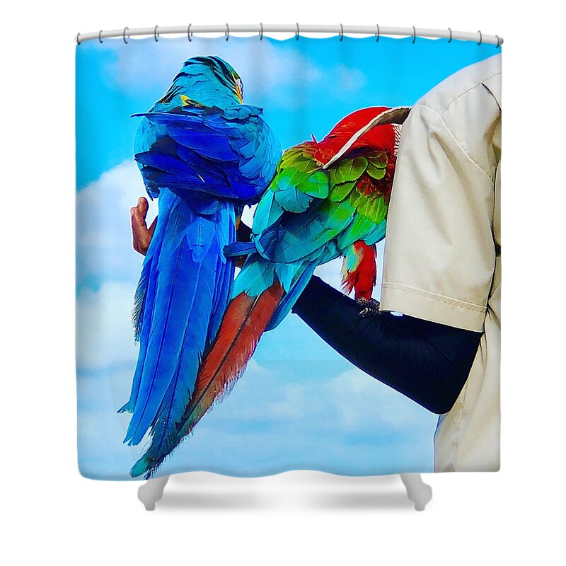  Shower Curtain featuring the digital art Island Birds by Cindy Greenstein