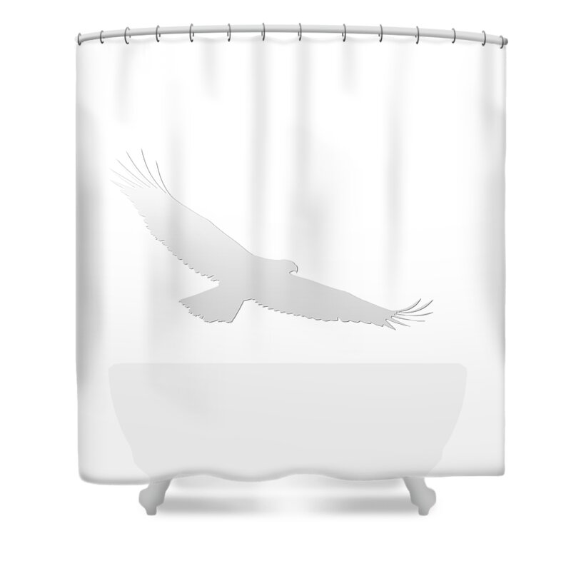 Juvenile Bald Eagle Shower Curtain featuring the photograph Isolated Bald Eagle 2018-3 Gradient by Thomas Young