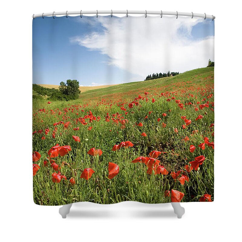 Recreational Pursuit Shower Curtain featuring the photograph Italian Poppy Field II by Wingmar