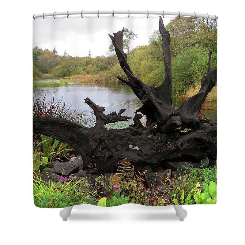 Ireland Shower Curtain featuring the photograph It's a Natural World by Vicky Edgerly
