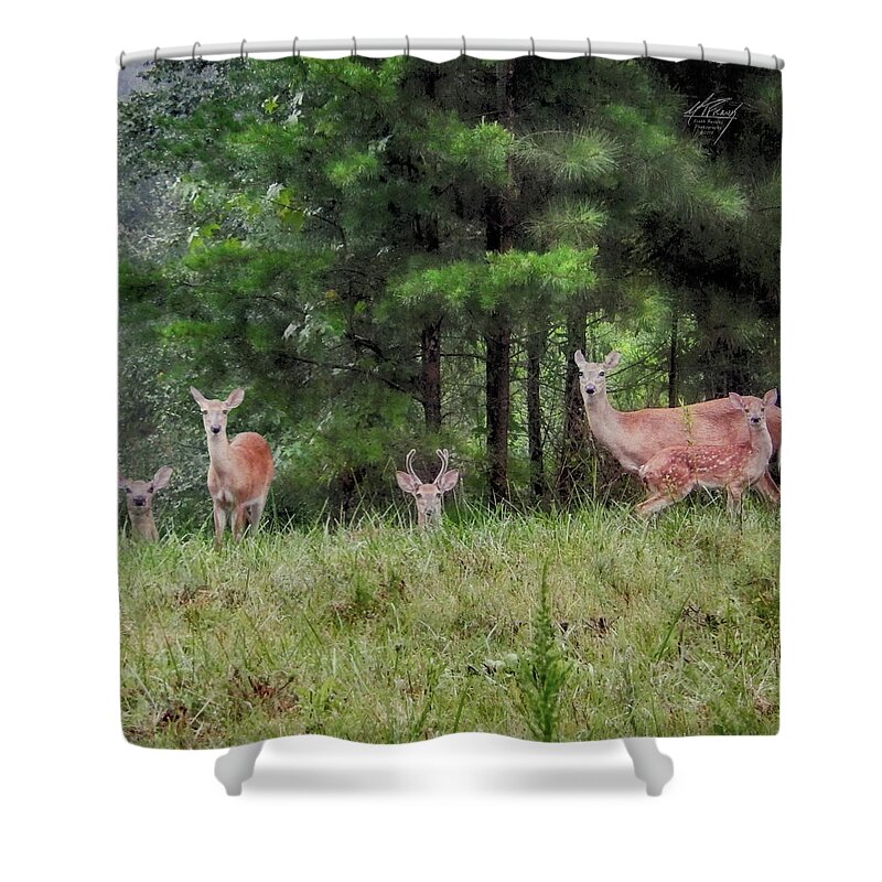Deer Shower Curtain featuring the photograph I've Been Spotted by Michael Frank