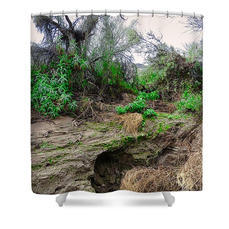 Algae Shower Curtain featuring the photograph January Day in the Vekol Wash by Judy Kennedy