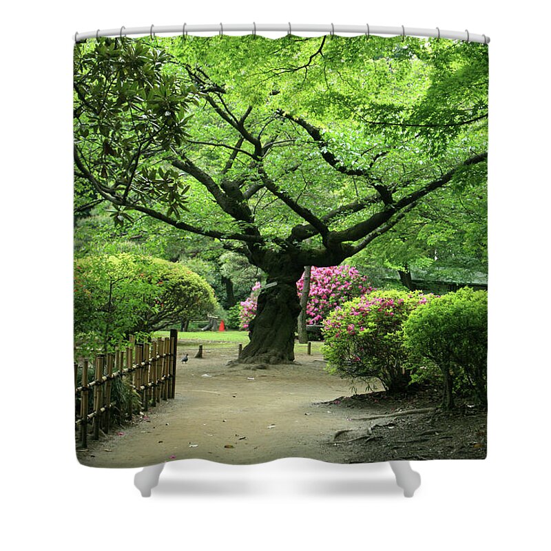 Outdoors Shower Curtain featuring the photograph Japanese Garden by Mura