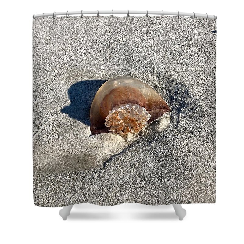 Jellyfish Shower Curtain featuring the photograph Jellyfish Washed Up on the Beach by Dennis Schmidt