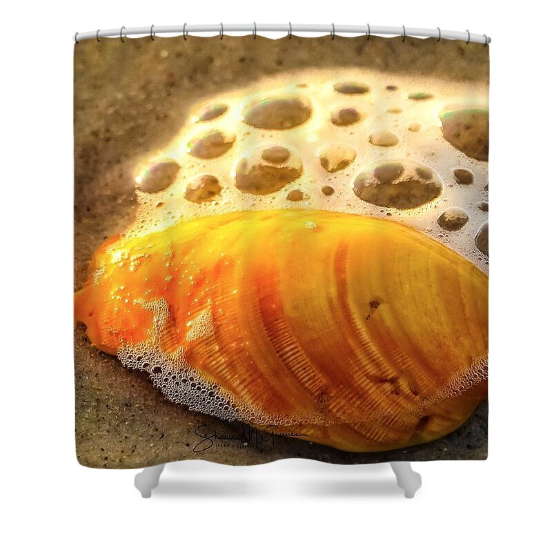 Shell Shower Curtain featuring the photograph Jewel of the Sea by Shawn M Greener