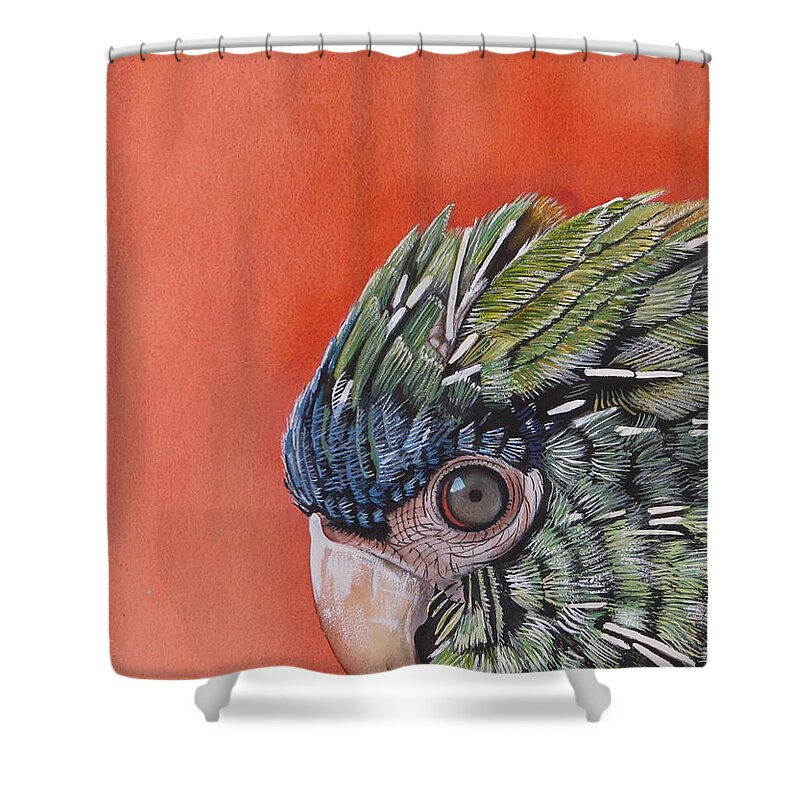 Orange Shower Curtain featuring the painting Jose Watercolor by Kimberly Walker