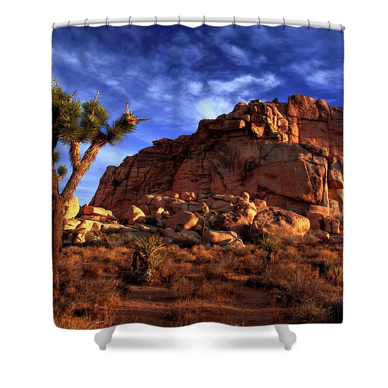 California Shower Curtain featuring the photograph Joshua Tree And Rock Pile by Bill Wight Ca