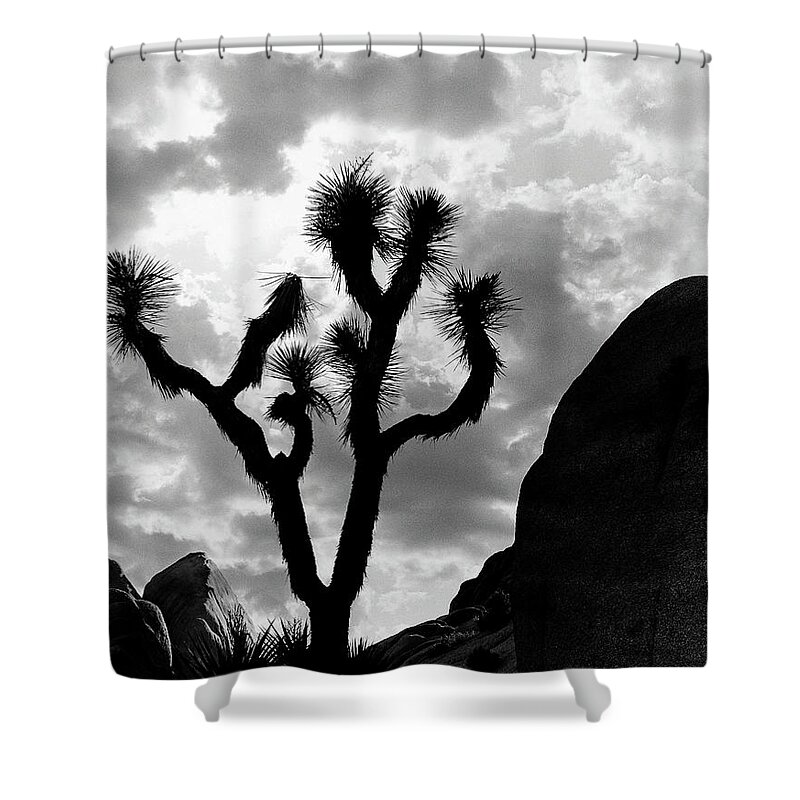 Scenics Shower Curtain featuring the photograph Joshua Tree by Monte Nagler