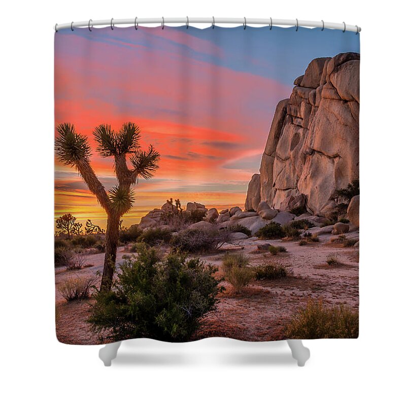 #faatoppicks Shower Curtain featuring the photograph Joshua Tree Sunset by Peter Tellone