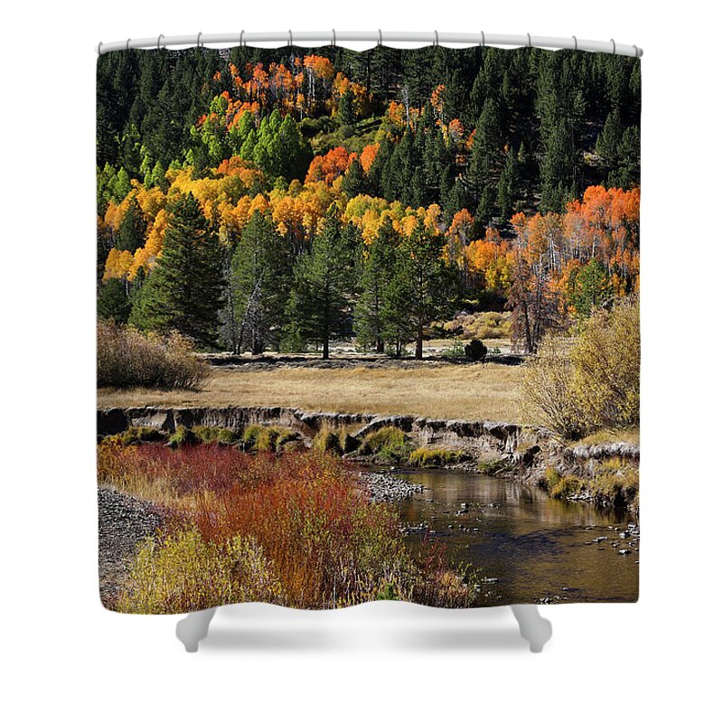  Shower Curtain featuring the photograph Jt__0563 by John T Humphrey