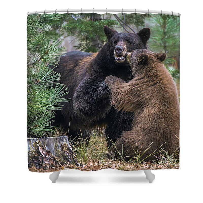  Shower Curtain featuring the photograph Jt4_8235 by John T Humphrey