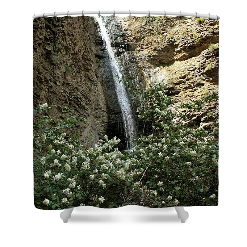 Owyhee Canyonlands Shower Curtain featuring the photograph Jump Creek Falls Canyon by Ed Riche