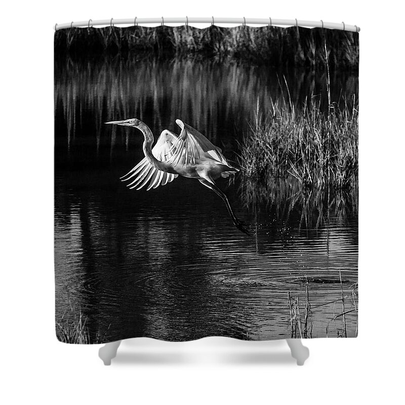Egret Shower Curtain featuring the photograph Jump Start by Ray Silva