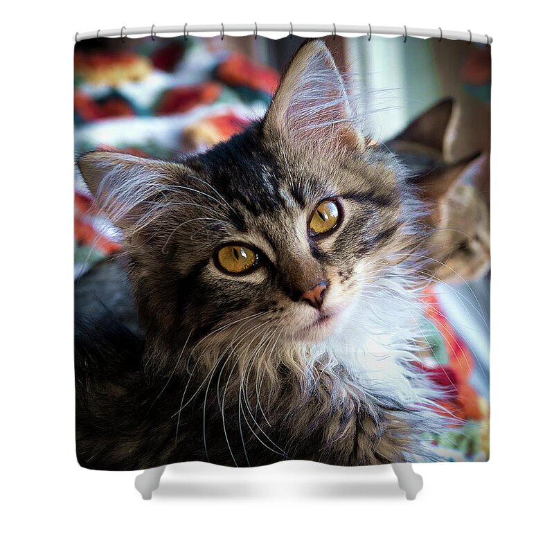 Adorable Shower Curtain featuring the photograph Just Adorable by Jean Noren