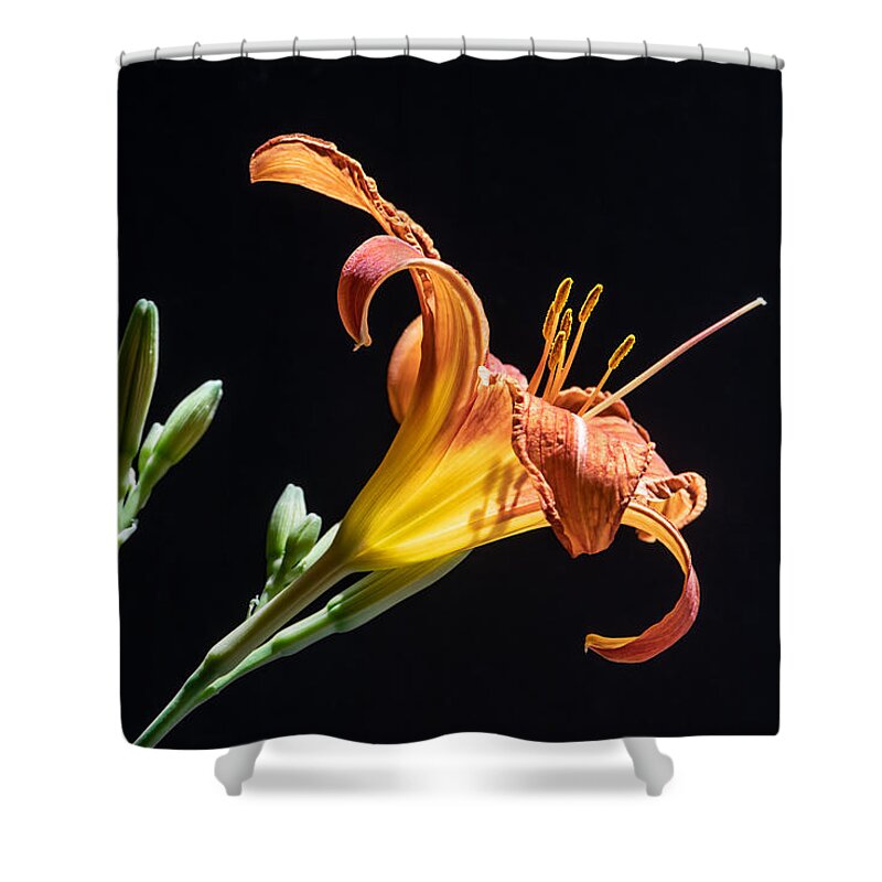 Floral Shower Curtain featuring the photograph Just Another Day by Maggie Terlecki