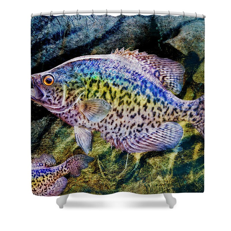 Fish Shower Curtain featuring the digital art Just Fishing Around by Sandra Selle Rodriguez