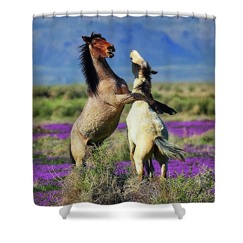 Wild Horses Shower Curtain featuring the photograph Just Horsing Around by Greg Norrell