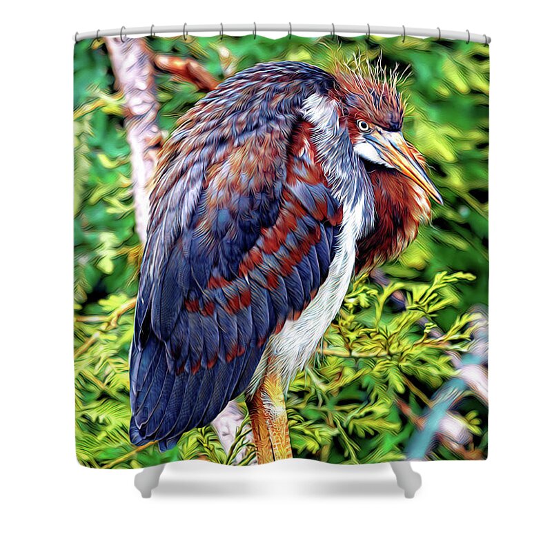 Herons Shower Curtain featuring the mixed media Juvenile Tricolored Heron Art by DB Hayes