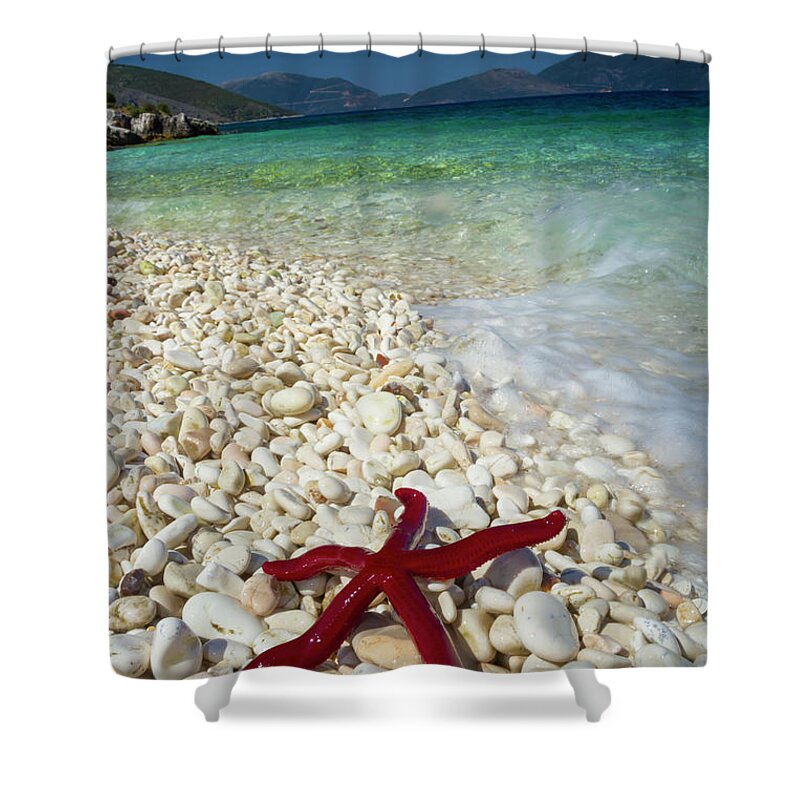 Red Starfish Shower Curtain featuring the photograph Kefalonia Starfish by Alex Bramwell