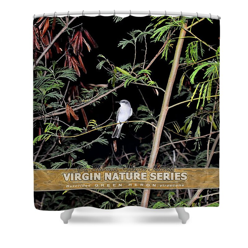 Gray Kingbird Shower Curtain featuring the photograph Kingbird in Casha - Virgin Nature Series by Climate Change VI - Sales