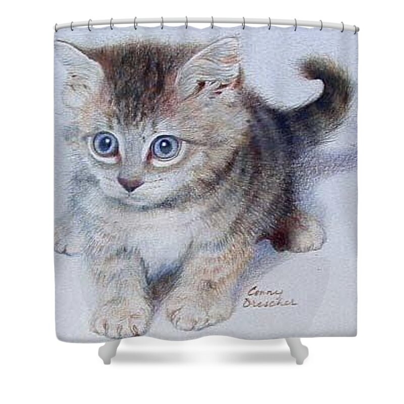 Kitten Shower Curtain featuring the drawing Kitten by Constance DRESCHER