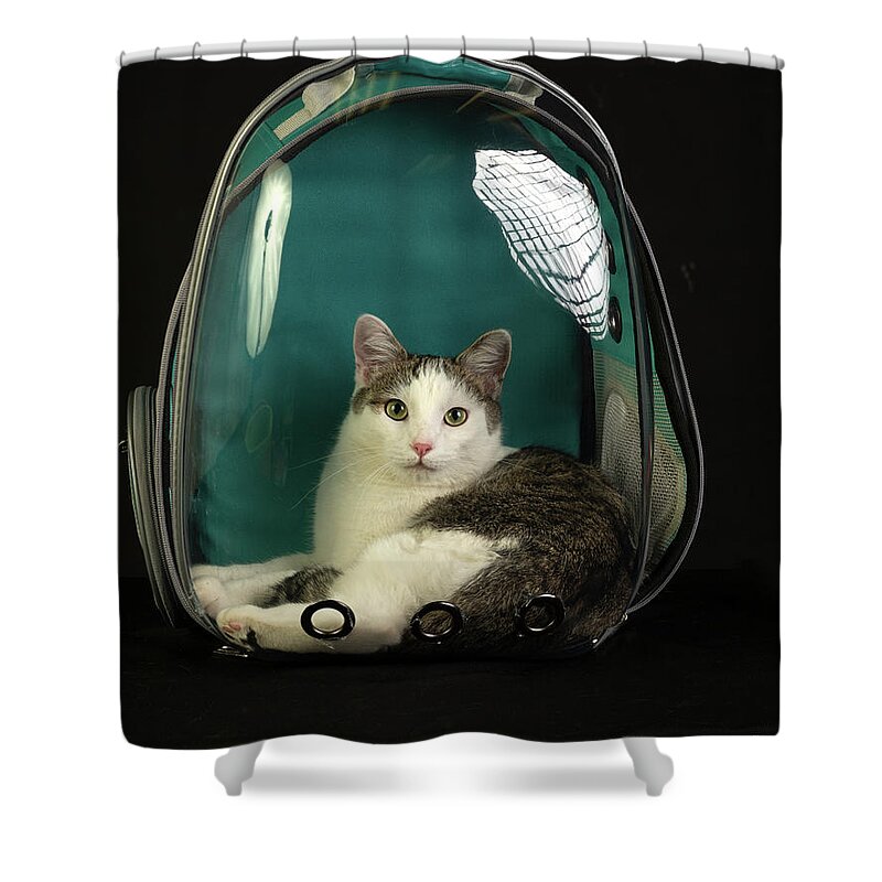 Cat Shower Curtain featuring the photograph Kitty in a Bubble by Susan Warren