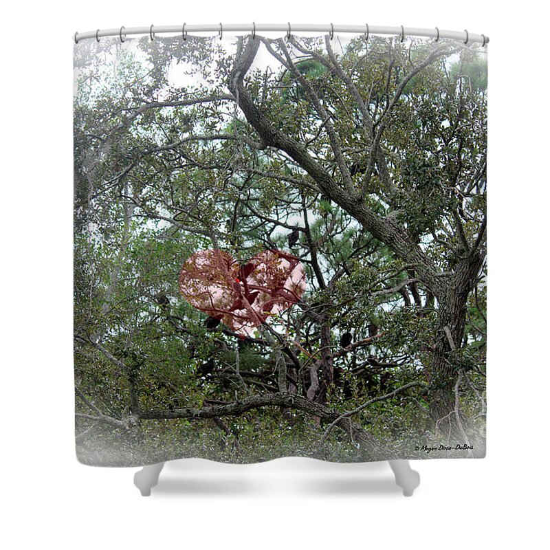 Knock Knock Shower Curtain featuring the photograph Knock, knock by Megan Dirsa-DuBois